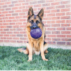 KONG Flexball