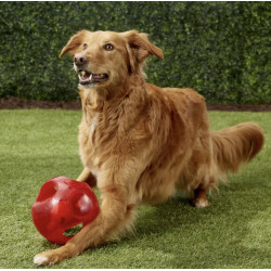 KONG Jumbler Ball L-XL