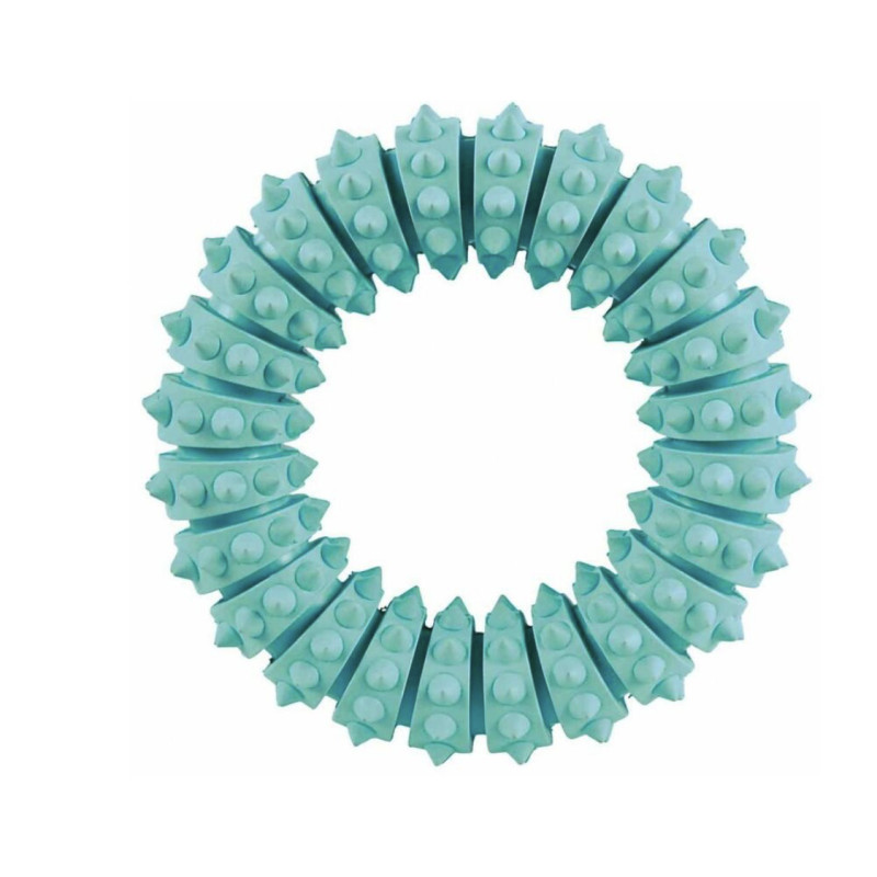 Denta Fun anneau, menthe, en caoutchouc naturel, ø