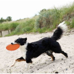 Dog Disc flottant TPR 18 cm