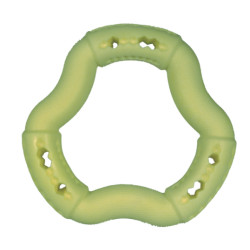 Jouet chien TPR anneau Green Apple 21cm