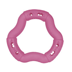 Jouet chien TPR anneau Red Frutti 21cm