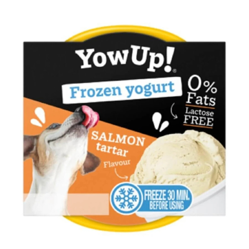 YOWUP Glace Yaourt Saumon 110g