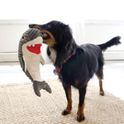 KONG Shark M/L