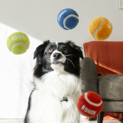 KONG Sport Softies M