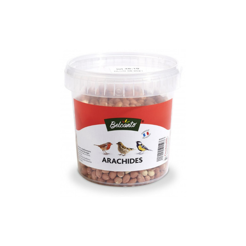 Seau arachide 500g