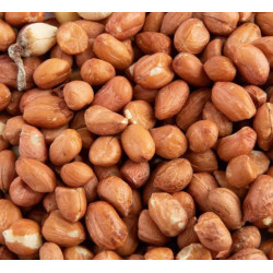 Seau arachide 500g