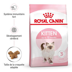 KITTEN 2KG