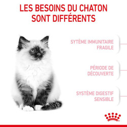 KITTEN 2KG