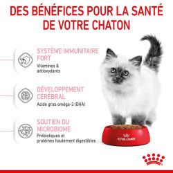 KITTEN 4KG