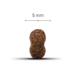 WOLFOOD LOW GRAIN LAMB 14KG