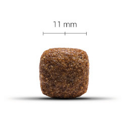 WOLFOOD LOW GRAIN SENIOR 3KG
