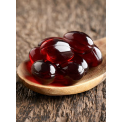 Wolfood Huile de Krill 90 gélulles