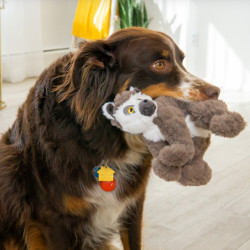 KONG Scampers Lemur M