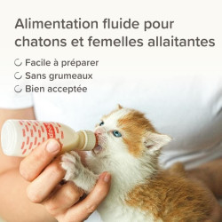LACTOL lait maternisé chaton 250g
