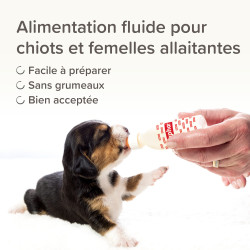 LACTOL lait maternisé chiot 250g