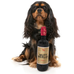 FuzzYard Mutt Merlot
