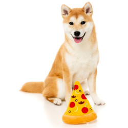 FuzzYard Pizza Slice