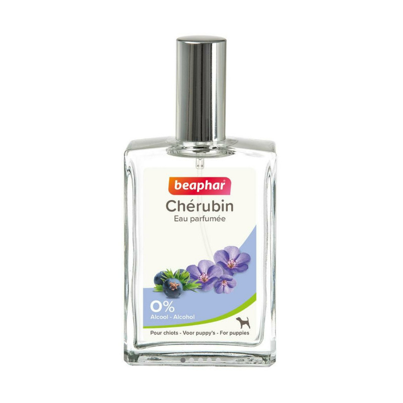 Eau parfumée chiot Chérubin 50ml