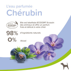 Eau parfumée chiot Chérubin 50ml