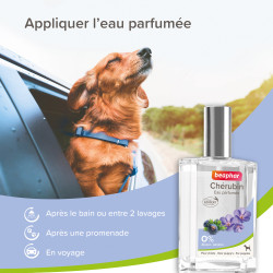 Eau parfumée chiot Chérubin 50ml