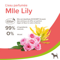 Eau parfumée femelle Lily 50ml