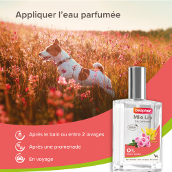 Eau parfumée femelle Lily 50ml