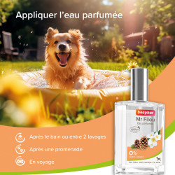 Eau parfumée mâle Filou 50ml
