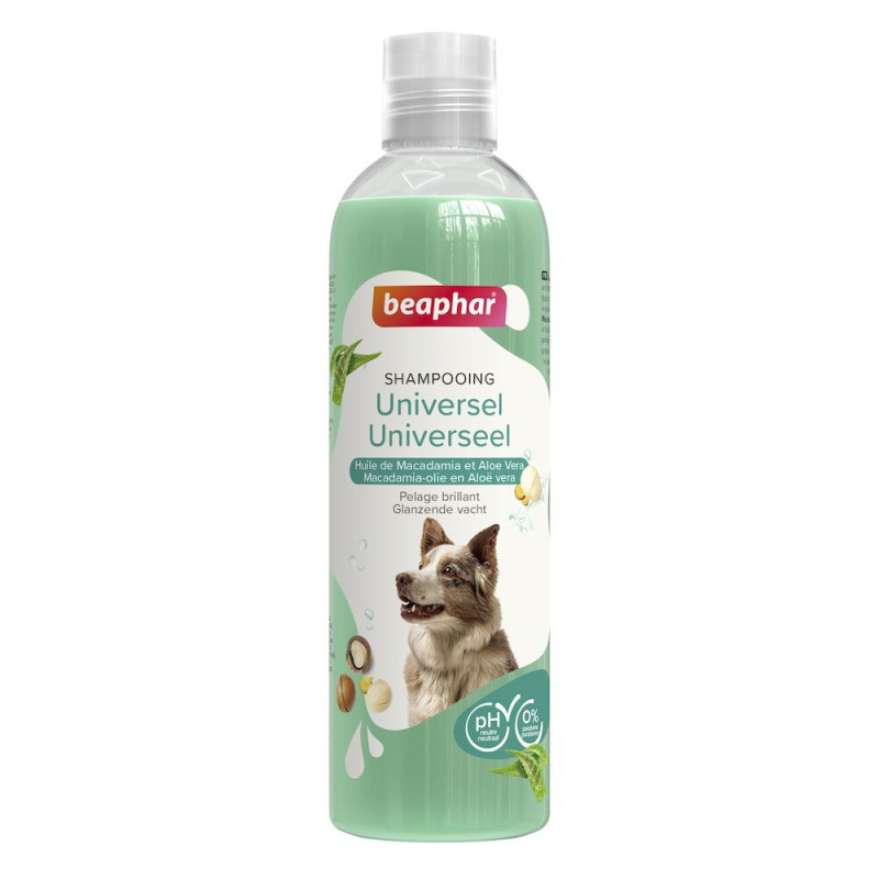 Shampooing ESSENTIEL Chien universel 250ml