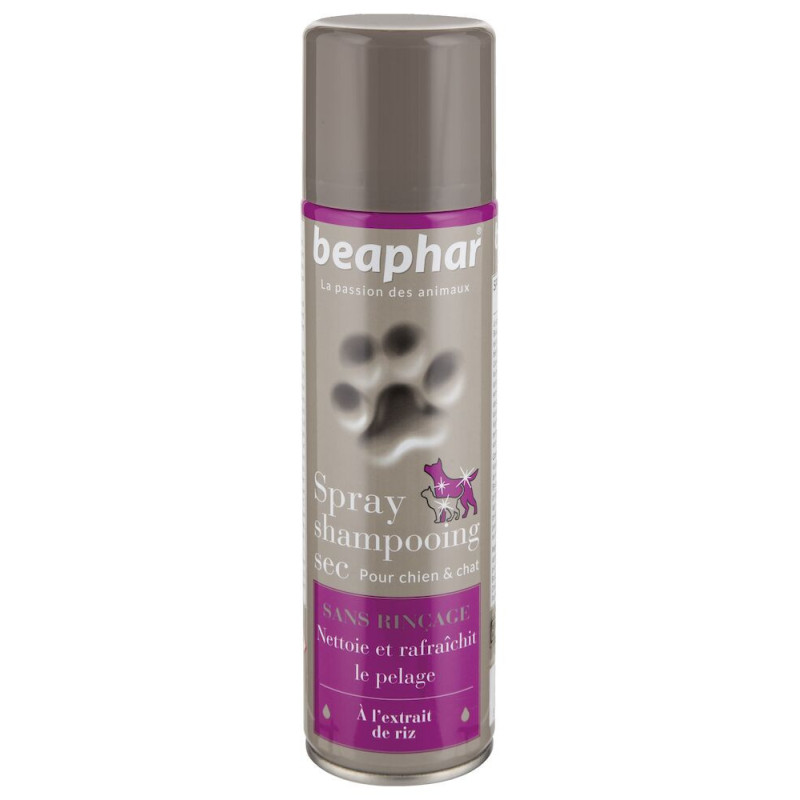 Spray shampooing sec EMPREINTE 250ml