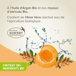 Shampooing démêlant 2en1 BIO 200 ml