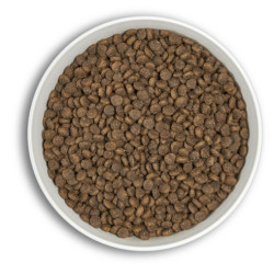ERA MILLENNIUM CHIEN PETITE RACE CANARD ET AGNEAU 6 KG