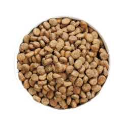 OWNAT HYPPOALLERGENIC MINI LAMB 3KG