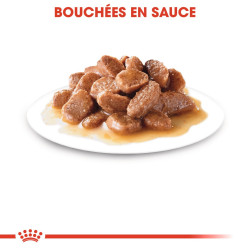 URINARY SAUCE 12X85G