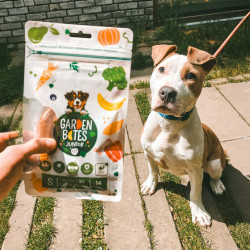 Garden Bites Puppy fruity friends S 6cm x14