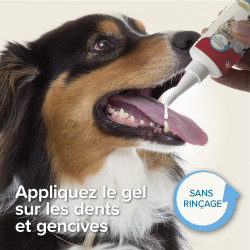 Dentifrice haleine fraîche au foie 100g