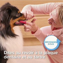 Brosse à dents doigtier x2
