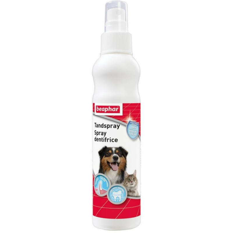Spray dentifrice 150ml