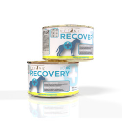 Refine Recovery Poulet & Saumon 170g