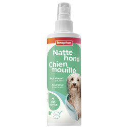 Spray chien mouillé 250ml