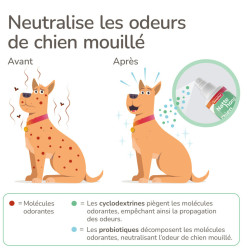 Spray chien mouillé 250ml