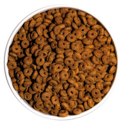 OWNAT CAT DAILY CARE 4KG