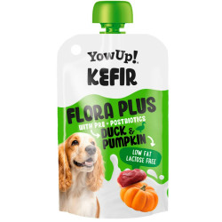 YOWUP Yaourt Flora plus canard 115g