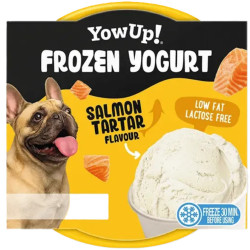 YOWUP Glace Yaourt Saumon 110g