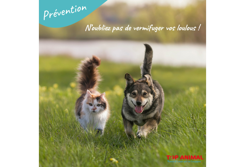 PROTEGEZ VOS COMPAGNONS PREFERES CONTRE LES VERS !