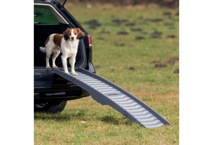 RAMPE D'ACCES POUR VOITURE