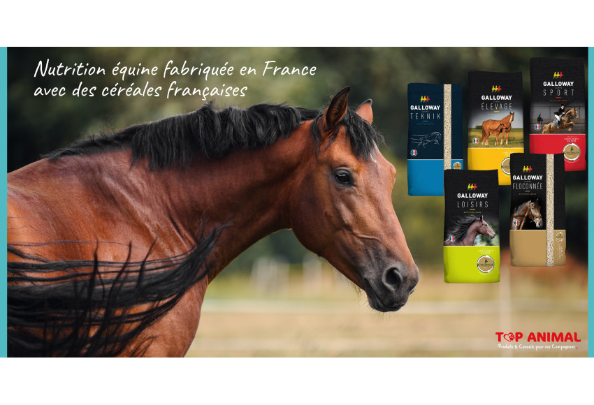 GALLOWAY : Nutrition équine fabriquée en France