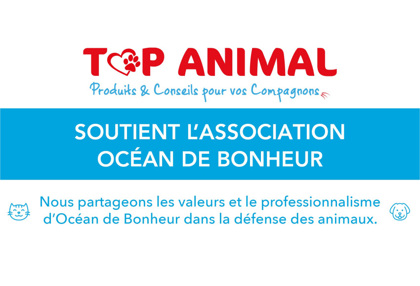 PARTENARIAT : OCEAN DE BONHEUR